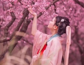 (jin)Լ@(g)SŮo(w)۹