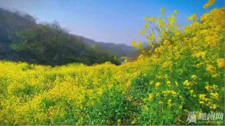 @GSݴȫpDbRϳl(f)