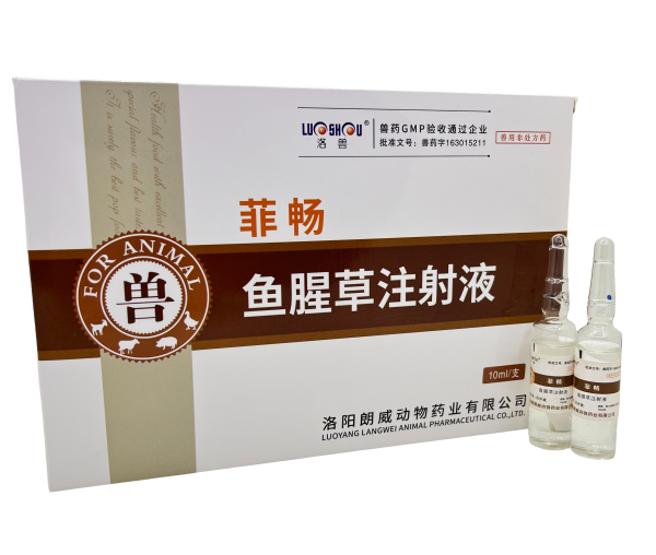 菲暢魚(yú)腥草注射液