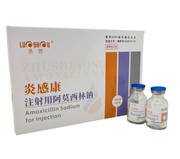 炎感康-注射用阿莫西林鈉